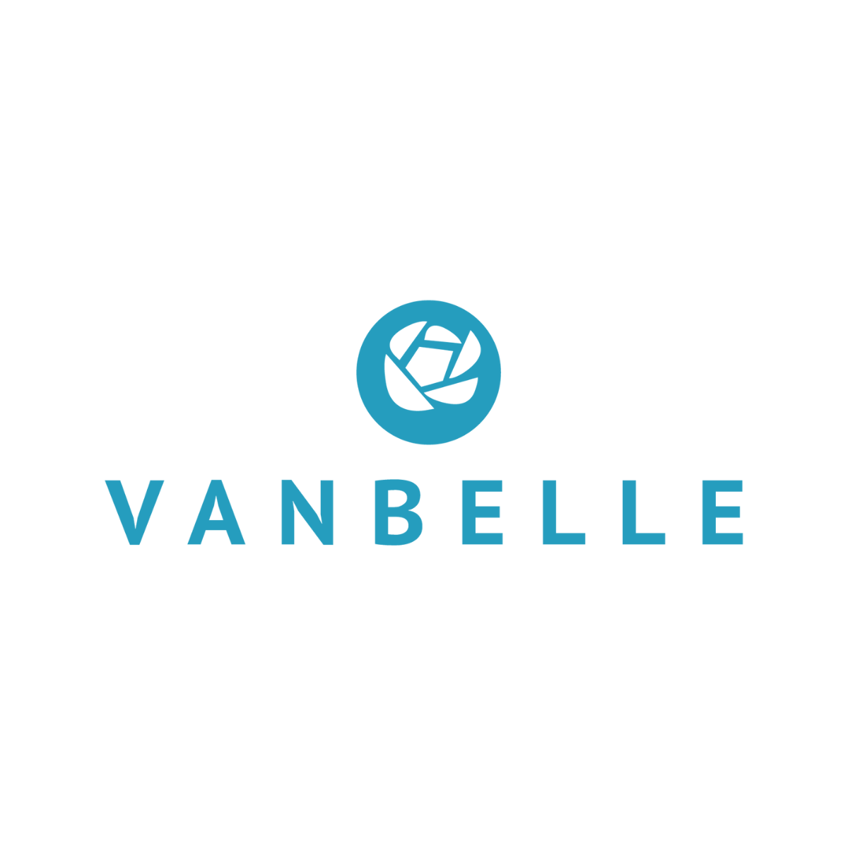 Van Belle Holdings